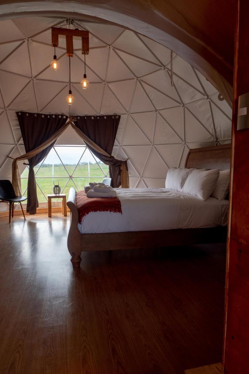 Вилла Garden Domes Пуэрто-Наталес Экстерьер фото