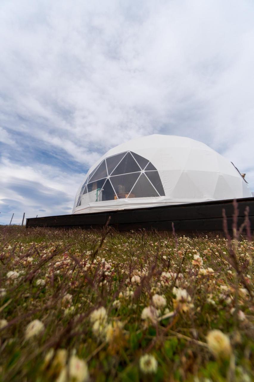 Вилла Garden Domes Пуэрто-Наталес Экстерьер фото